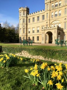 yellow daffodils in front of an old building with green chairs and tables