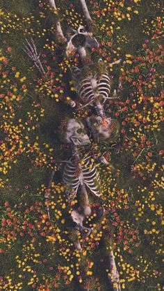 an aerial view of two skeletons in a field of flowers