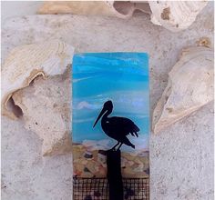 a bird sitting on top of a piece of wood next to some sea shells and seashells