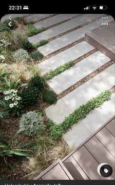 an outdoor garden with steps and plants