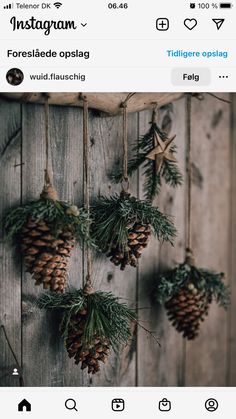 some pine cones hanging from a wooden wall