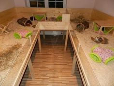 a room filled with lots of wooden furniture and animals on top of the floor next to each other