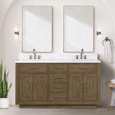 a bathroom with two mirrors above the sinks and a plant on the floor next to it