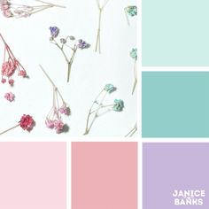 the color scheme is pastel pink, blue, and green with flowers on it