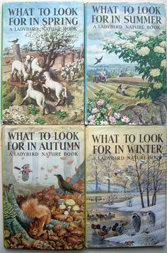 four children's books about what to look for in autumn and what to look for in winter