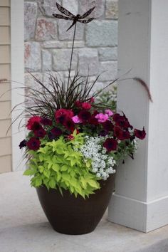 a potted plant with flowers in it sitting on a porch