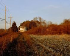 an empty dirt road in the middle of a field with tall grass and power lines