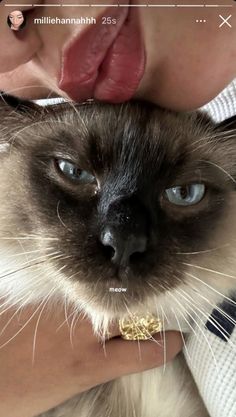 a woman is holding a cat with her tongue out