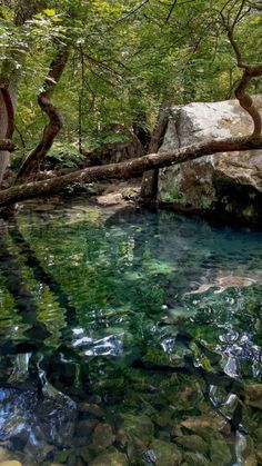 the water is very clear and blue in this forest area with rocks, trees, and mossy branches