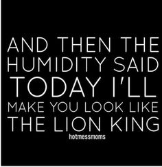 a black and white quote with the words, and then the humidity said today i'll make you look like the lion king