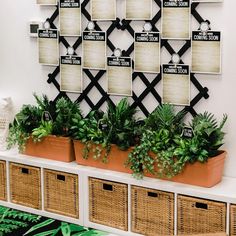 there are many plants in the planter boxes on the shelf next to each other