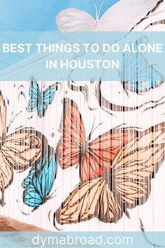 Fun Things To Do Alone, Houston Trip, Downtown Houston Texas, Houston Murals, Solo Traveling, Morning Activities