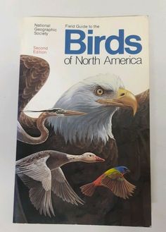 a book with an eagle and two birds on it's cover, which reads birds of north america