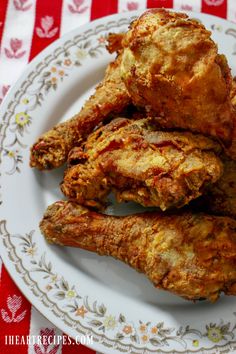 some fried food on a white and red plate