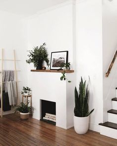 a living room with white walls and wooden floors, a plant on the fireplace mantel