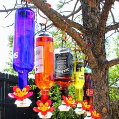 there are many different colored bottles hanging from the tree branch, and one is saying forget milkshakes, my birdfeeders bring all the women to the yard