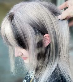 Raccoon Tail Hair Dye, Partially Bleached Hair, Raccoon Tails Hair, Racoon Stripes Hair, Racoon Tail Hair, Bug Oc, Racoon Hair, Raccoon Tail Hair, Raccoon Hair