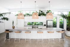 a kitchen with an island and lots of plants