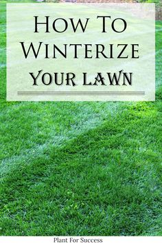 a lawn with the words how to winterize your lawn