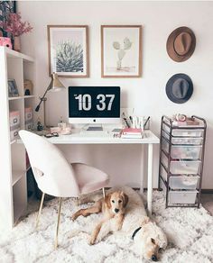 a dog laying on the floor in front of a desk