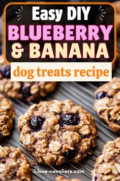 blueberry and banana dog treats recipe on a cooling rack with text overlay that reads, easy diy blueberry & banana dog treats recipe