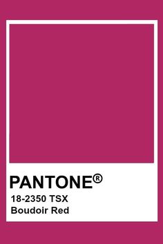 Pantone Raspberry, Pink Pantone, Pantone Red, Rose Palette, Painters Palette, Red Colour Palette