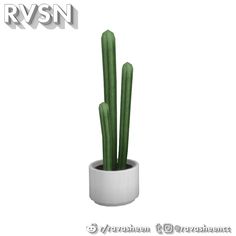 a green plant in a white pot on a white background with the words rvn above it