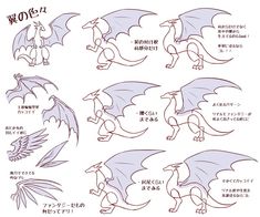 how to draw a dragon with different poses and body shapes in anime style for beginners