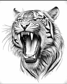 a drawing of a tiger with its mouth open