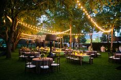 tables and chairs are set up in the grass under trees with lights strung over them