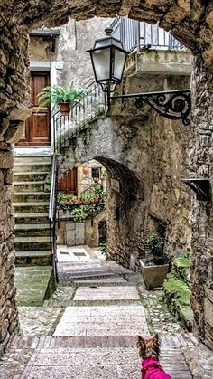 a dog in a pink coat is walking down an alley way with stone steps and stairs