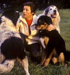 a man sitting in the grass with four dogs and one is holding his hand on his chest