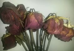 a bunch of dried flowers in a vase