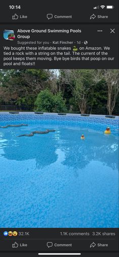 an image of a pool that is blue and has trees in the background with text on it