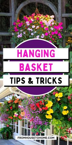 hanging basket tips and tricks with flowers