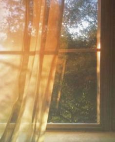 an open window with the sun shining through it's curtains and trees in the background