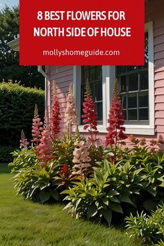 pink house with flowers in front and the words 8 best flowers for north side of house