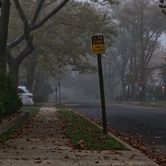 a street sign on the side of a road with trees in the background and foggy sky