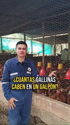 a man standing in front of a chicken pen with chickens behind him and the caption that says,