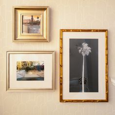 three framed pictures hang on the wall next to each other, one with a white flower