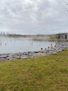 many people are swimming in the water near a stone wall and some grass on the ground