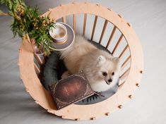 a small white dog sitting in a wooden chair next to a potted plant and book