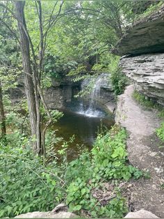 a small waterfall in the middle of a forest