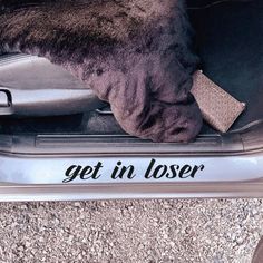 an open car trunk with the word get in loser written on it's side