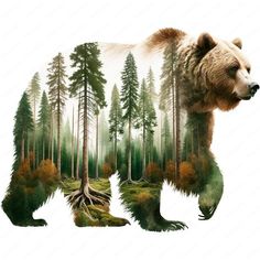 a bear is standing in the middle of a forest with trees on it's sides