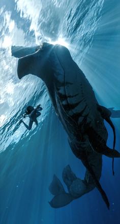 two people are swimming in the ocean with their backs turned to the camera, and one person is under water