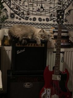 a cat laying on top of an amp next to a guitar and other musical instruments