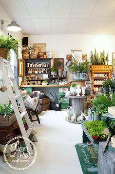 a room filled with lots of potted plants next to a white table and ladder