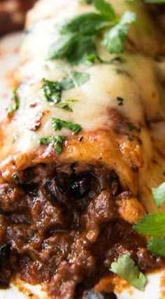 a close up of a plate of food with meat and cheese covered in cilantro