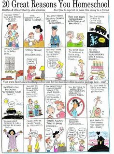 a cartoon strip about how to use homeschool and what it's really like